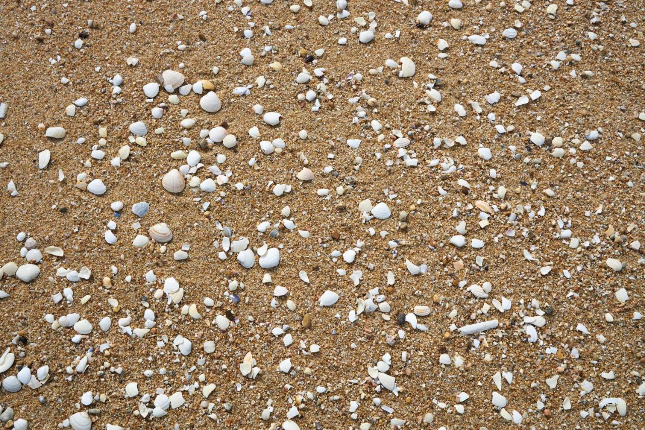 apart@CostaSantoAndré Beach Santiago do Cacém Esterno foto