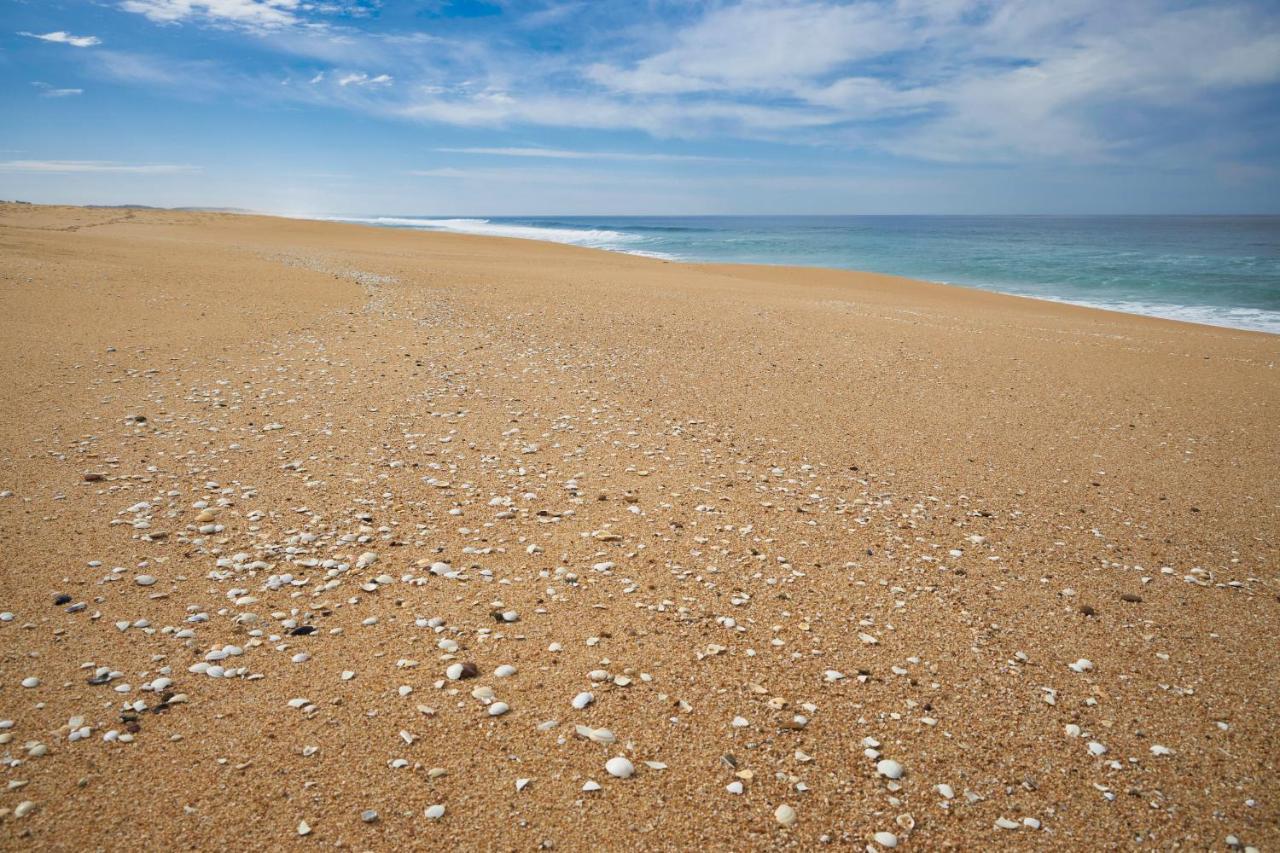 apart@CostaSantoAndré Beach Santiago do Cacém Esterno foto